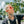Load image into Gallery viewer, SafeStyle CRCRP100 Cruisers Clear Frame/Mirror Red Polarised Uv400 Safety Glasses
