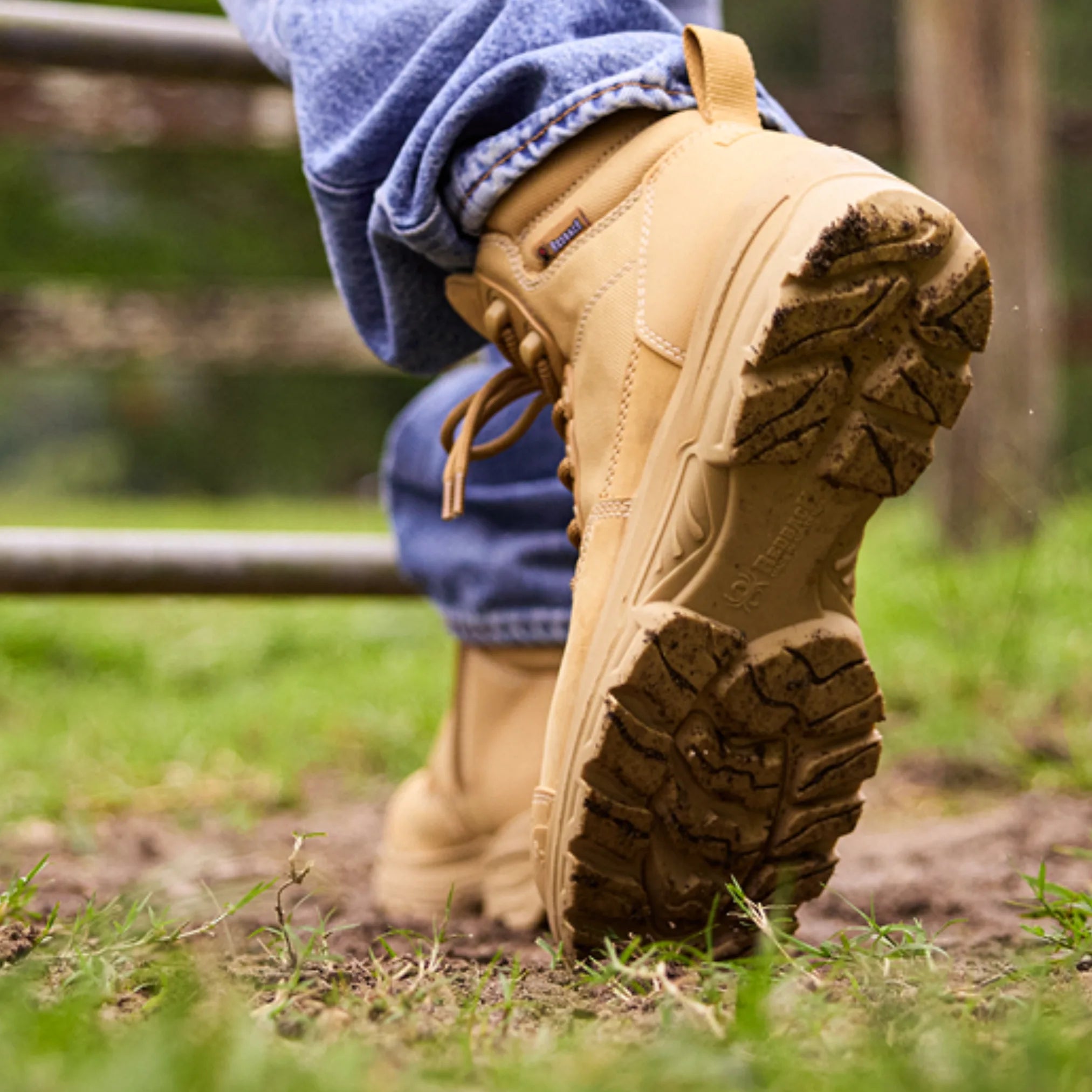 Redback Lynx Zip Scuff Cap Work Boot - Comp Toe