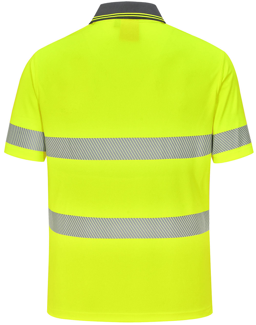 AIW Unisex Cooldry Segmented Taped Polo